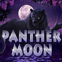 permainan slot Panther Moon provider Playtech dari situs slot gacor MEONGTOTO